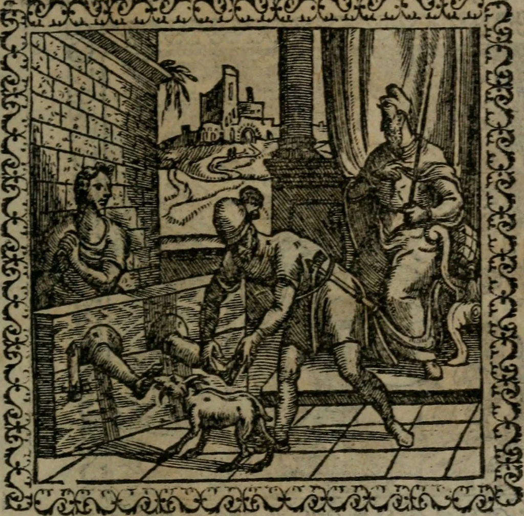 An illustration from Emblemata : et aliquot nummi antiqui operis, 1566, leaf 226