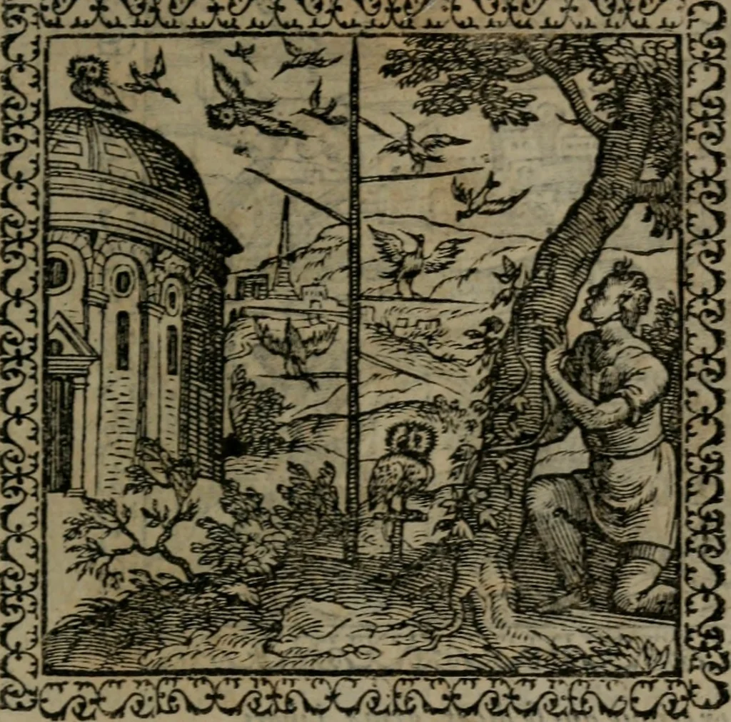 An illustration from Emblemata : et aliquot nummi antiqui operis, 1566, leaf 228