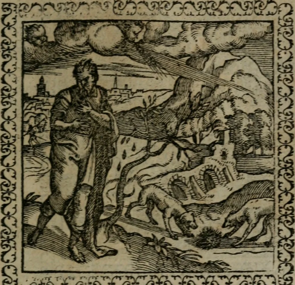 An illustration from Emblemata : et aliquot nummi antiqui operis, 1566, leaf 234