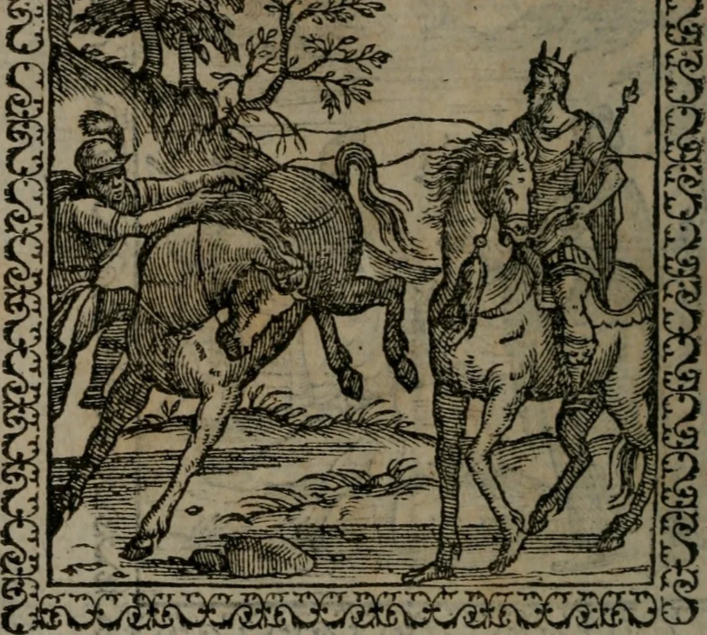 An illustration from Emblemata : et aliquot nummi antiqui operis, 1566, leaf 243