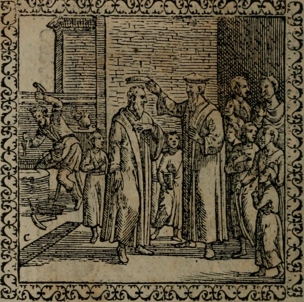 An illustration from Emblemata : et aliquot nummi antiqui operis, 1566, leaf 247