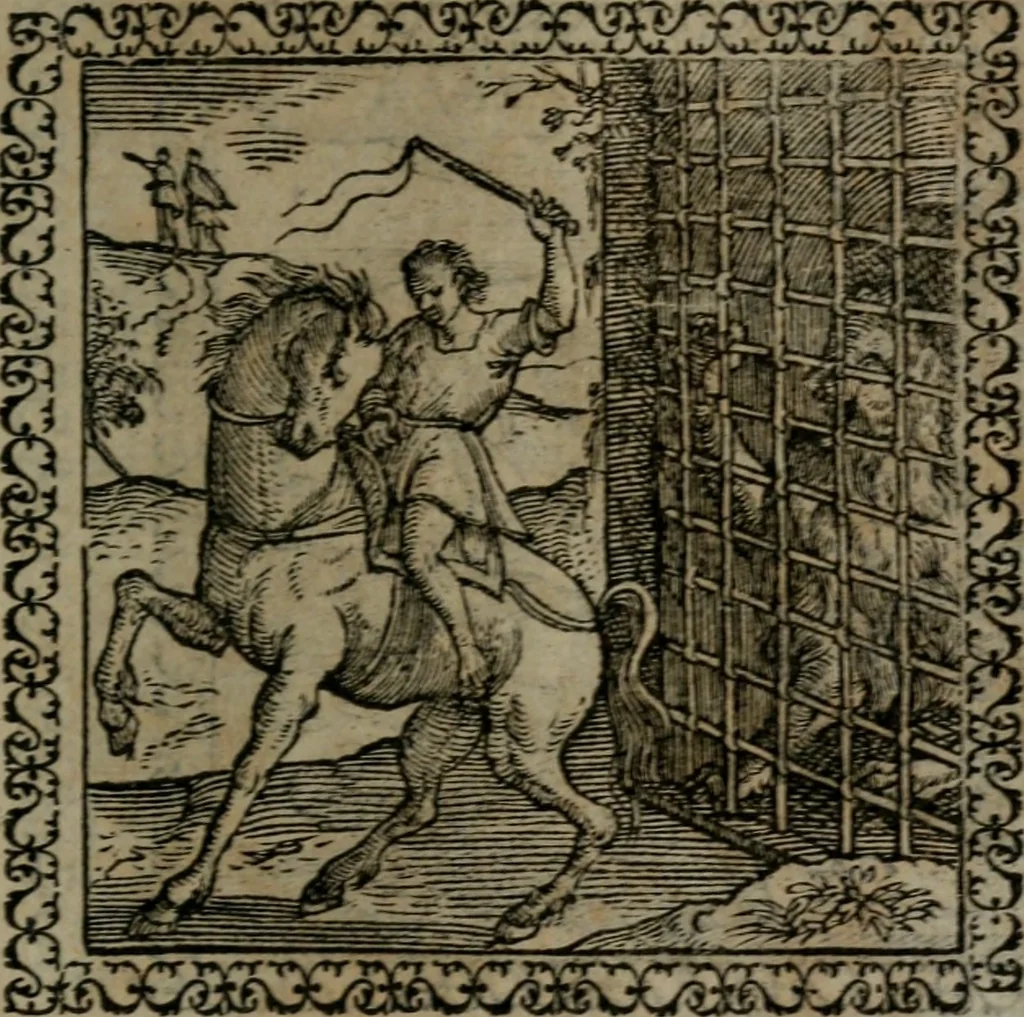 An illustration from Emblemata : et aliquot nummi antiqui operis, 1566, leaf 250