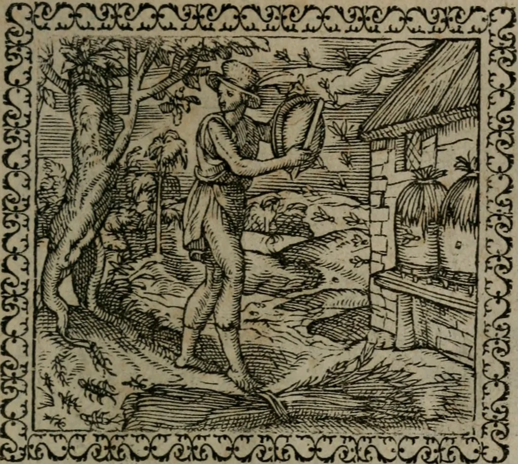 An illustration from Emblemata : et aliquot nummi antiqui operis, 1566, leaf 26