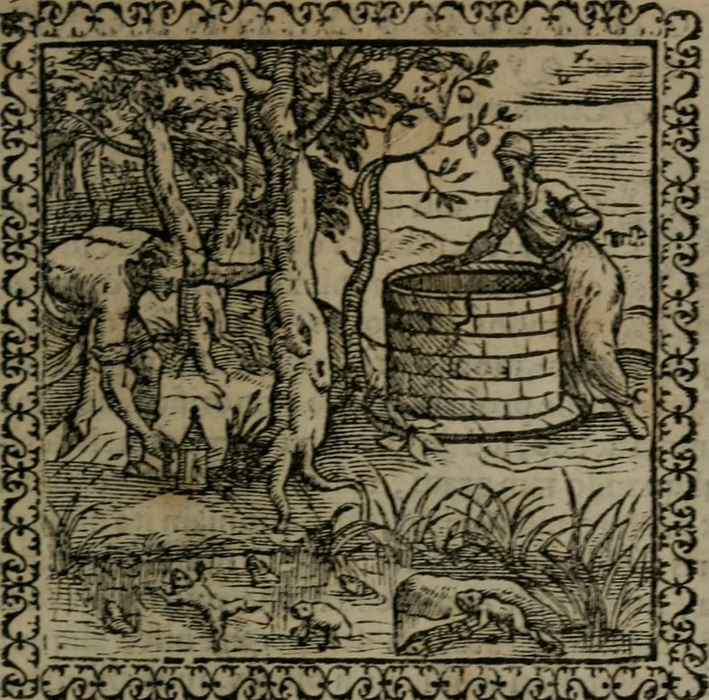 An illustration from Emblemata : et aliquot nummi antiqui operis, 1566, leaf 260