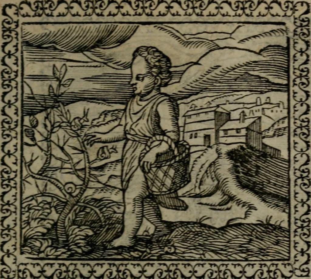 An illustration from Emblemata : et aliquot nummi antiqui operis, 1566, leaf 38