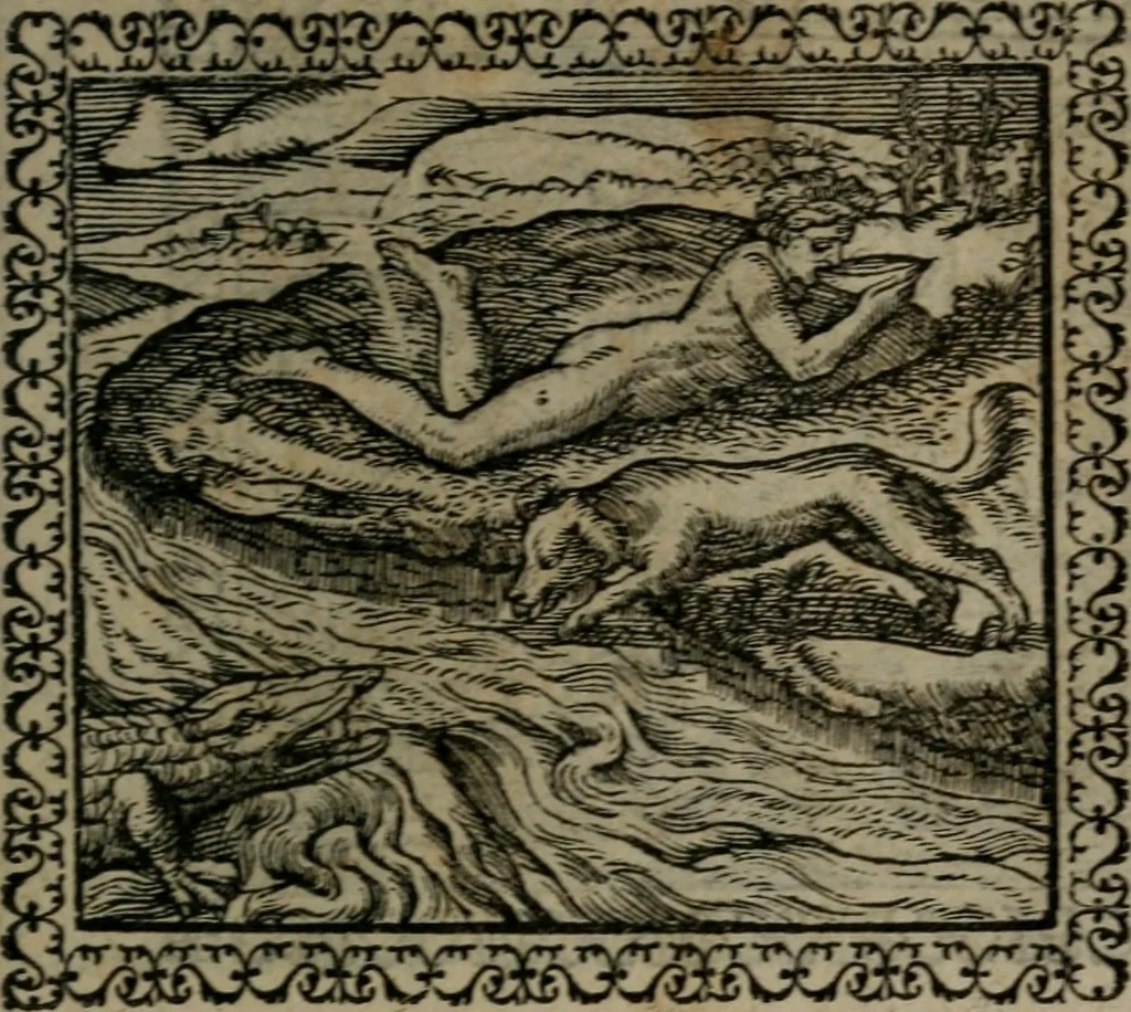 An illustration from Emblemata : et aliquot nummi antiqui operis, 1566, leaf 42