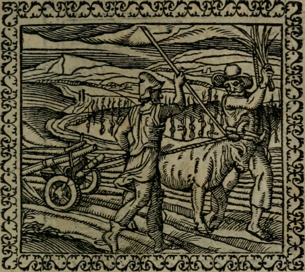 An illustration from Emblemata : et aliquot nummi antiqui operis, 1566, leaf 50