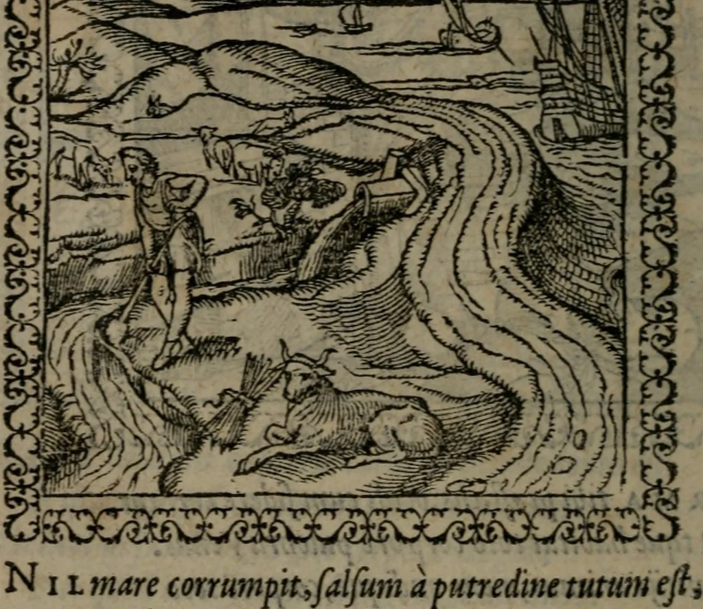 An illustration from Emblemata : et aliquot nummi antiqui operis, 1566, leaf 67