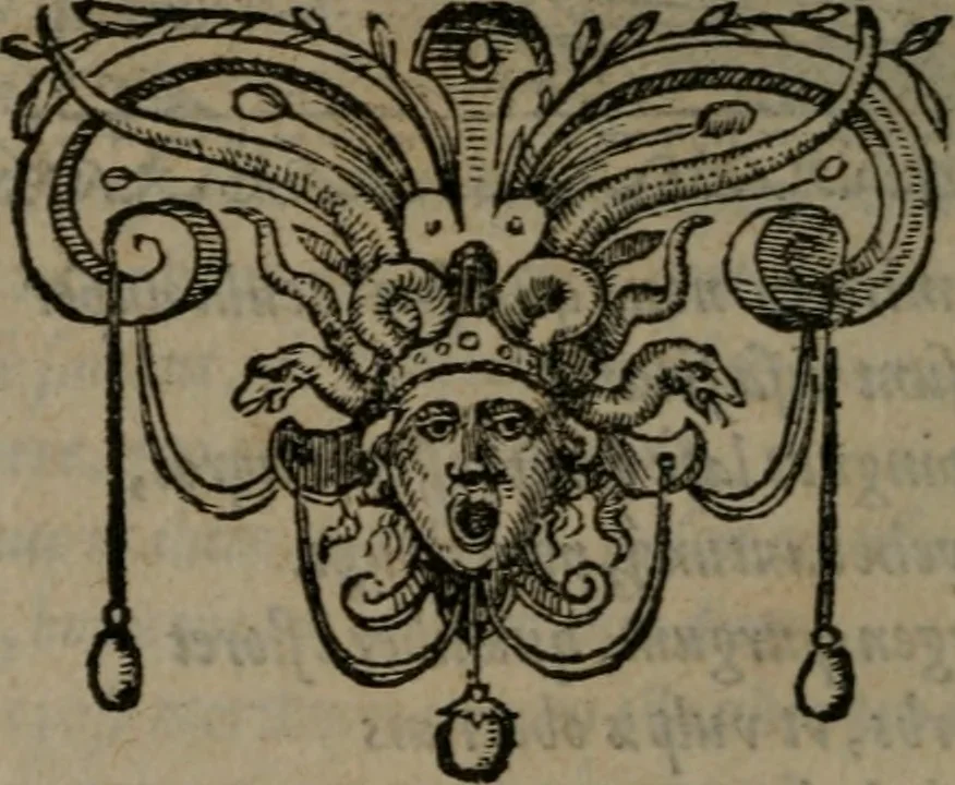 An illustration from Emblemata : et aliquot nummi antiqui operis, 1566, leaf 89