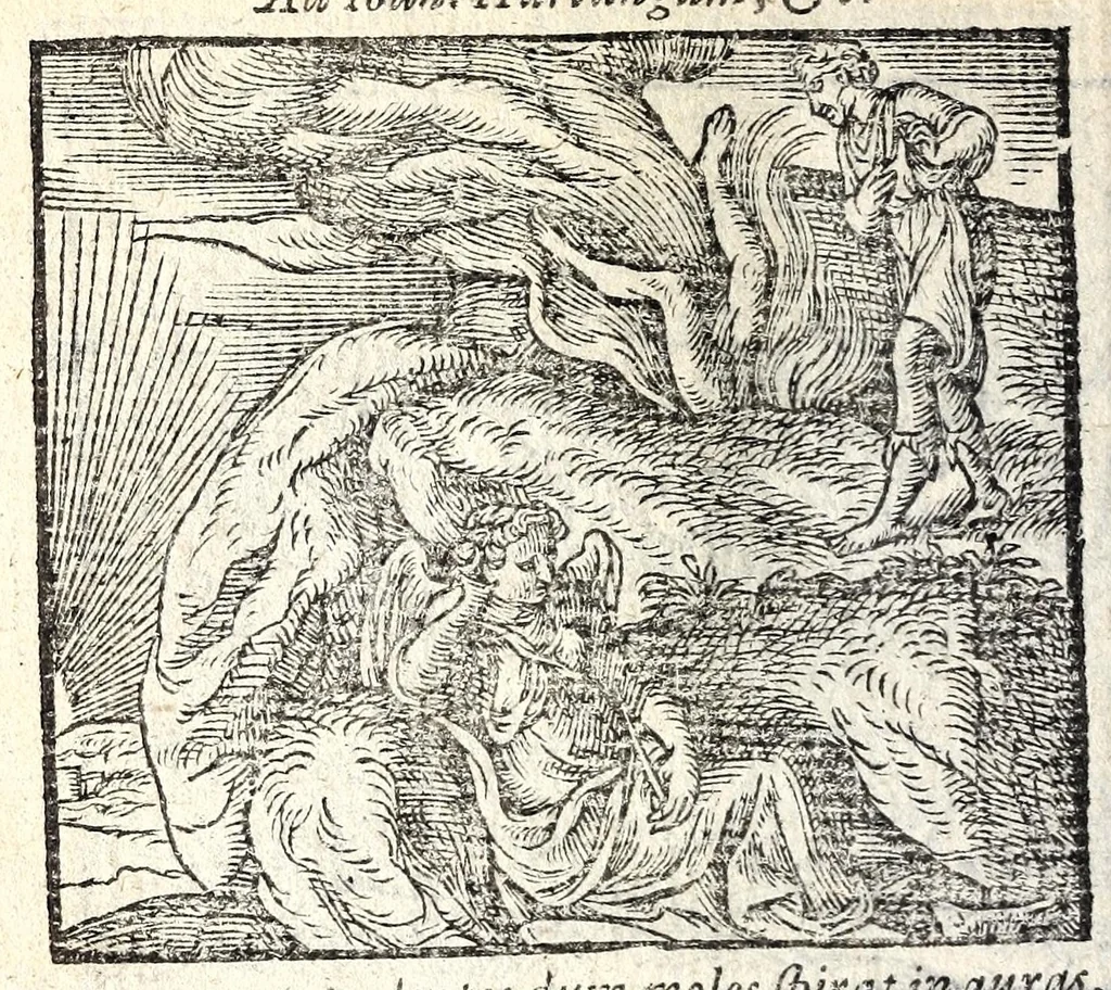 An illustration from Emblemata, et aliqvot nvmmi antiqvi operis, Ioan. Sambvci Tirnaviensis Pannonii, 1584, leaf 152