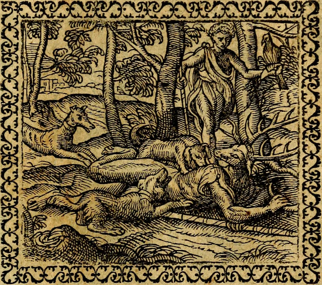 An illustration from Emblemata, et aliqvot nvmmi antiqvi operis, 1566, leaf 112