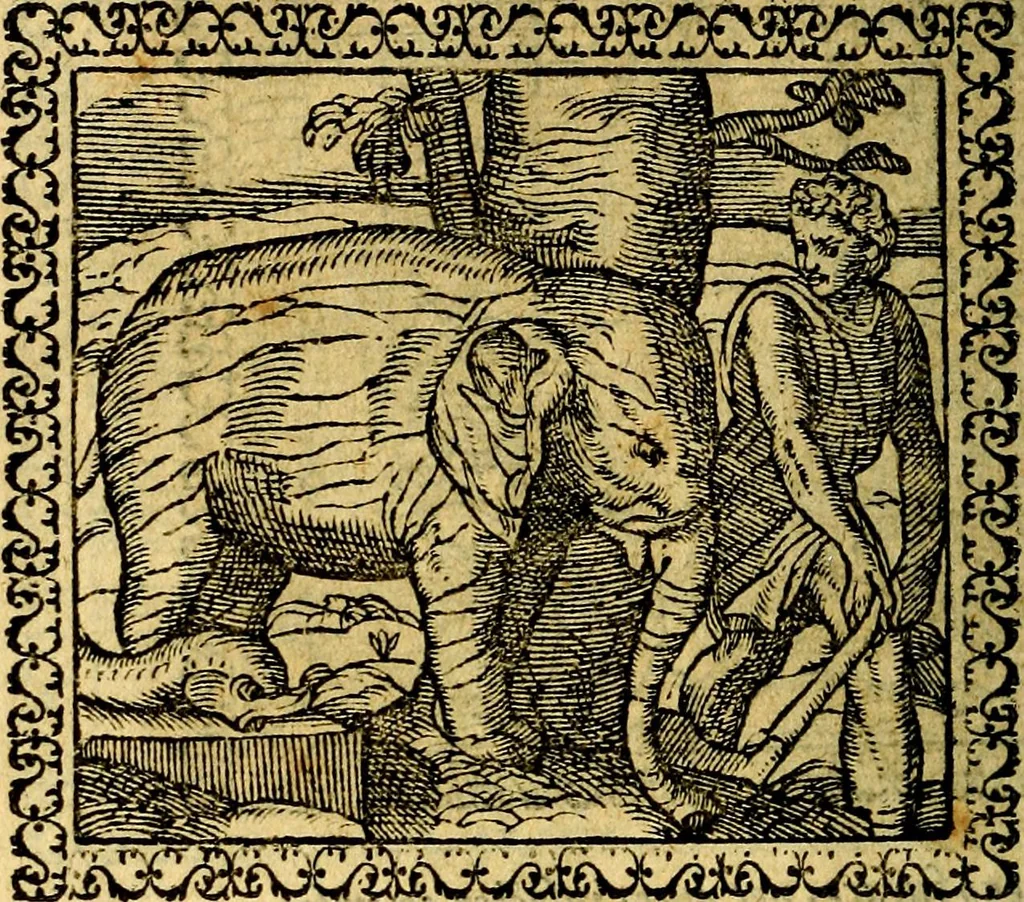 An illustration from Emblemata, et aliqvot nvmmi antiqvi operis, 1566, leaf 161