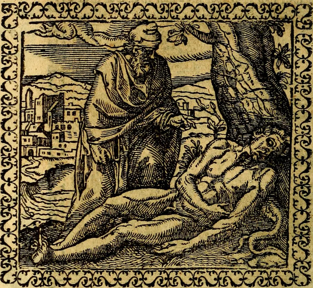An illustration from Emblemata, et aliqvot nvmmi antiqvi operis, 1566, leaf 193