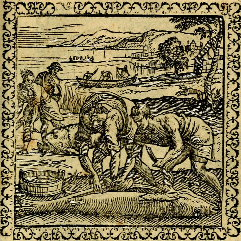 An illustration from Emblemata, et aliqvot nvmmi antiqvi operis, 1566, leaf 214