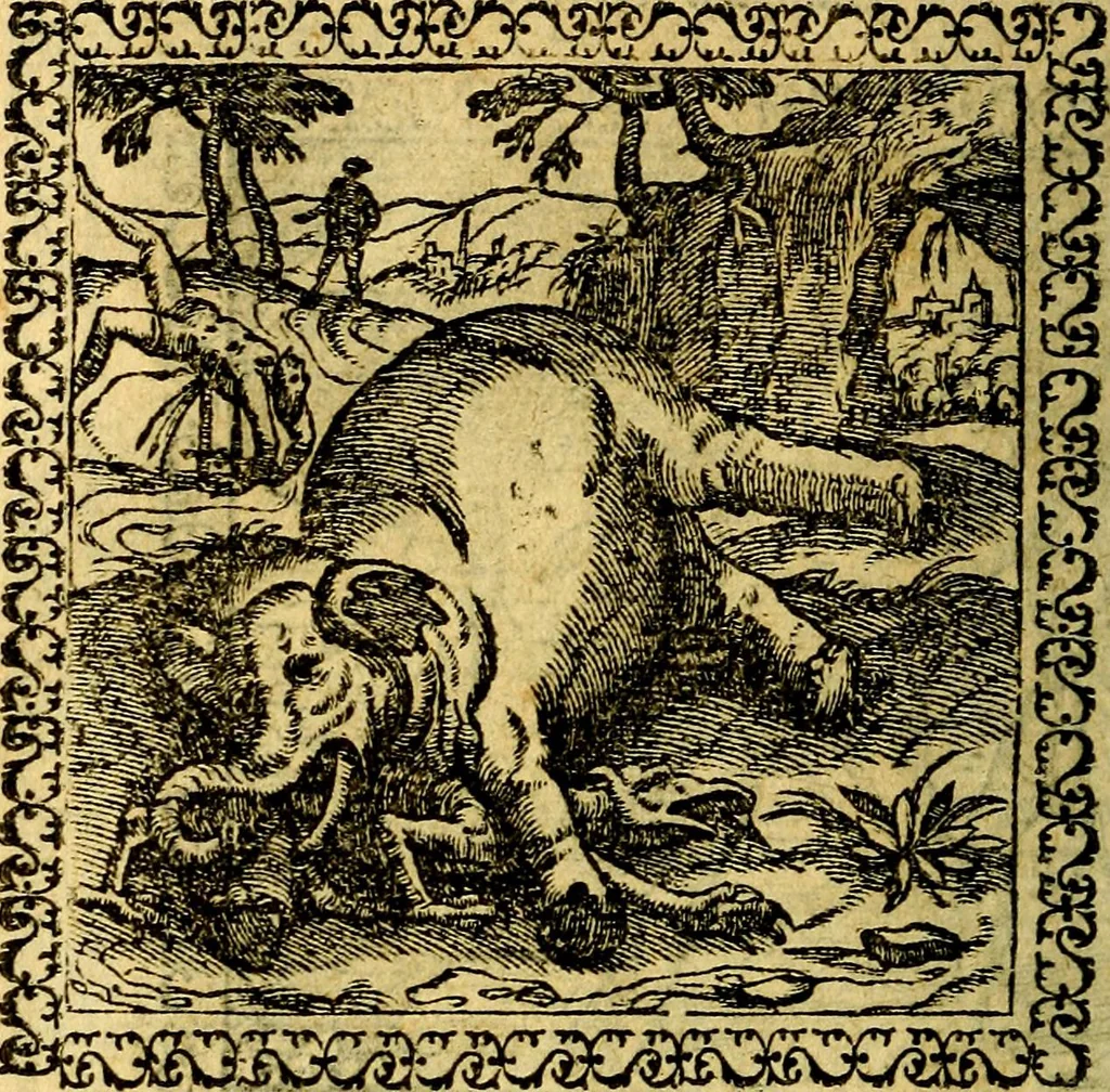 An illustration from Emblemata, et aliqvot nvmmi antiqvi operis, 1566, leaf 221