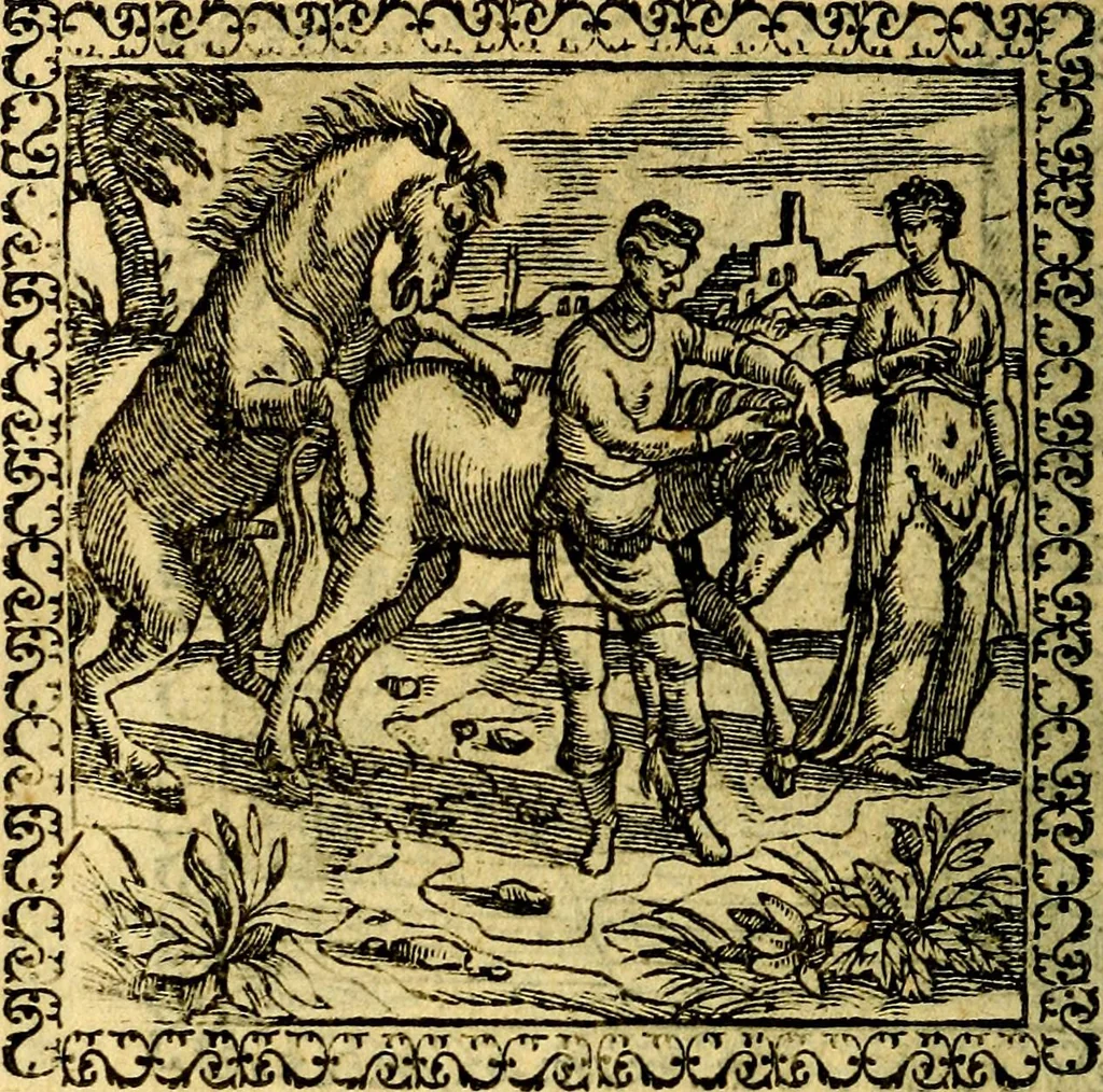 An illustration from Emblemata, et aliqvot nvmmi antiqvi operis, 1566, leaf 223