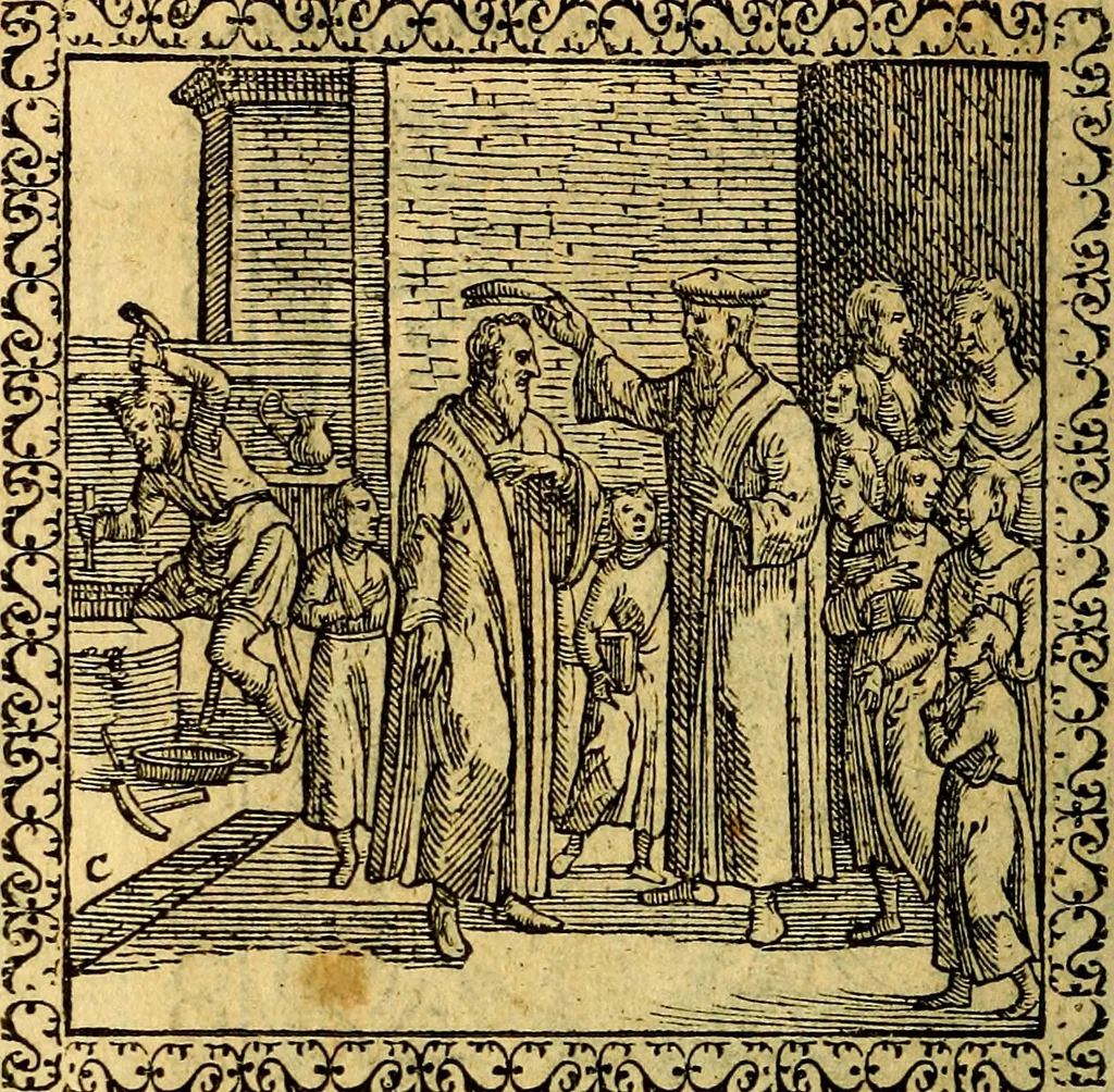 An illustration from Emblemata, et aliqvot nvmmi antiqvi operis, 1566, leaf 245