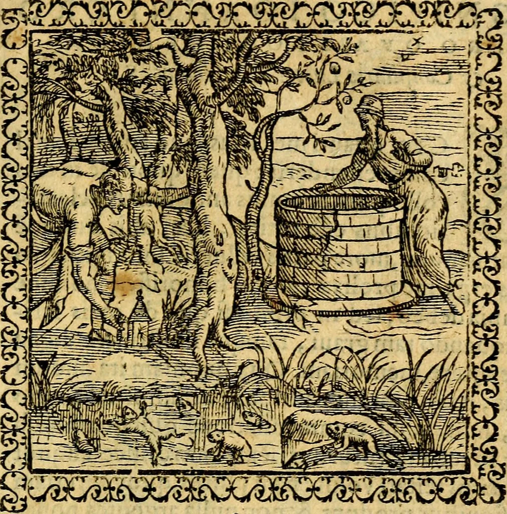 An illustration from Emblemata, et aliqvot nvmmi antiqvi operis, 1566, leaf 258