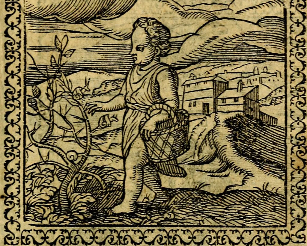 An illustration from Emblemata, et aliqvot nvmmi antiqvi operis, 1566, leaf 36