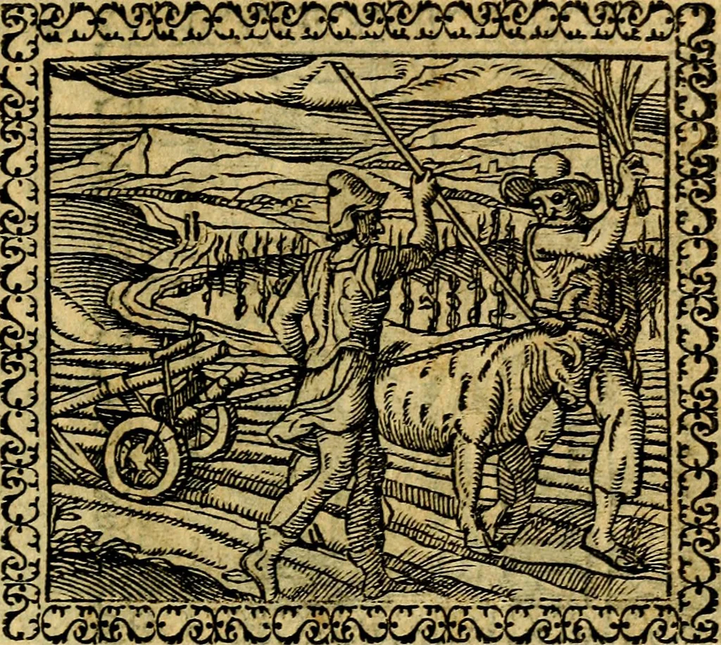 An illustration from Emblemata, et aliqvot nvmmi antiqvi operis, 1566, leaf 48
