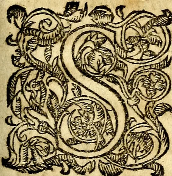 An illustration from Emblemata et epigrammata miscellanea selecta ex stromatis peripateticis, 1610, leaf 10