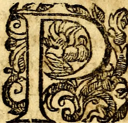 An illustration from Emblemata et epigrammata miscellanea selecta ex stromatis peripateticis, 1610, leaf 17