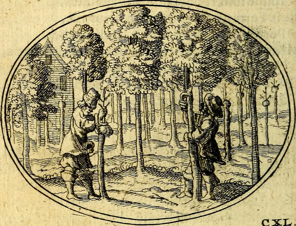 An illustration from Emblemata ethico-politica carmine explicata, 1661, leaf 239