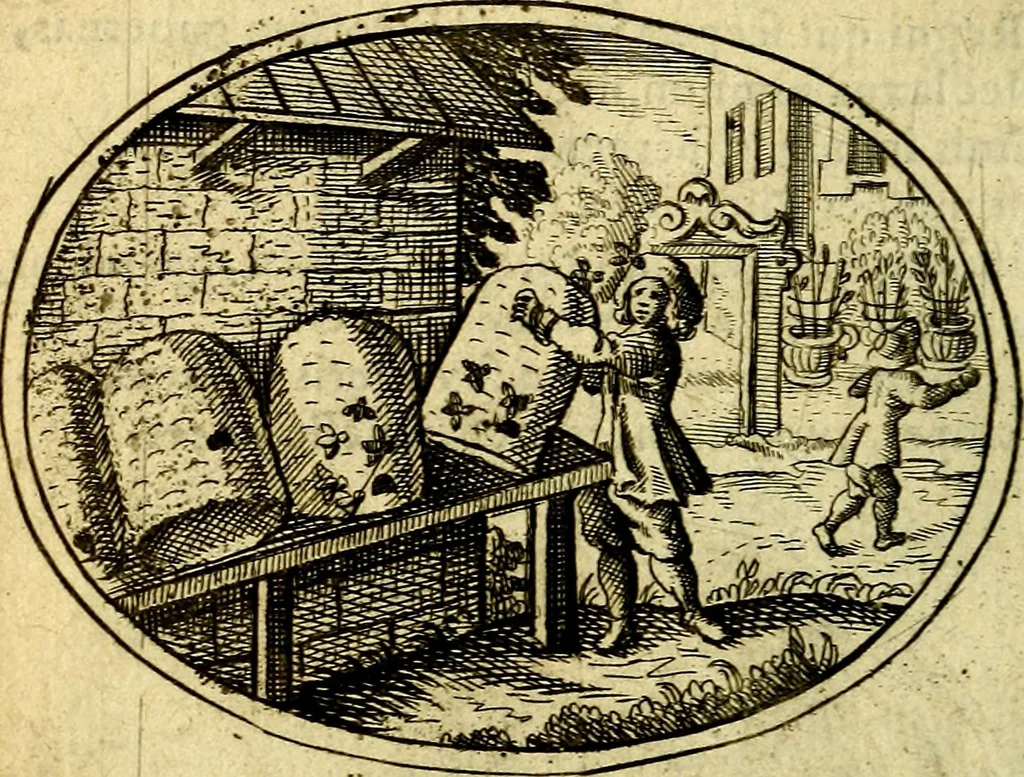 An illustration from Emblemata ethico-politica carmine explicata, 1661, leaf 31
