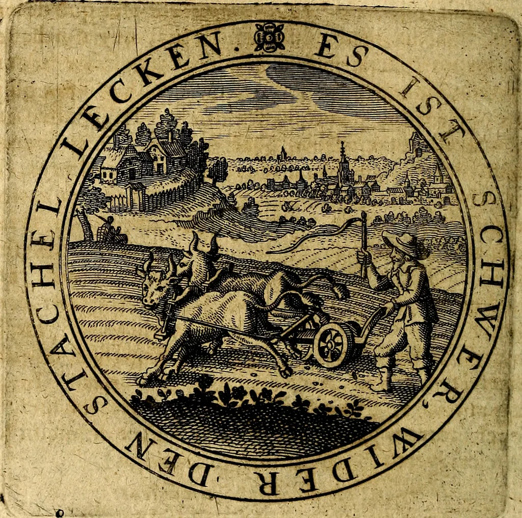 An illustration from Emblemata ethico politica. Ingenuâ at que eruditâ interpretatione nunc primùm illustrata, 1669, leaf 165