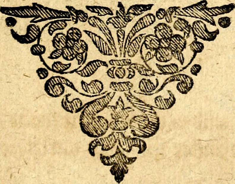 An illustration from Emblemata ethico politica. Ingenuâ at que eruditâ interpretatione nunc primùm illustrata, 1669, leaf 208