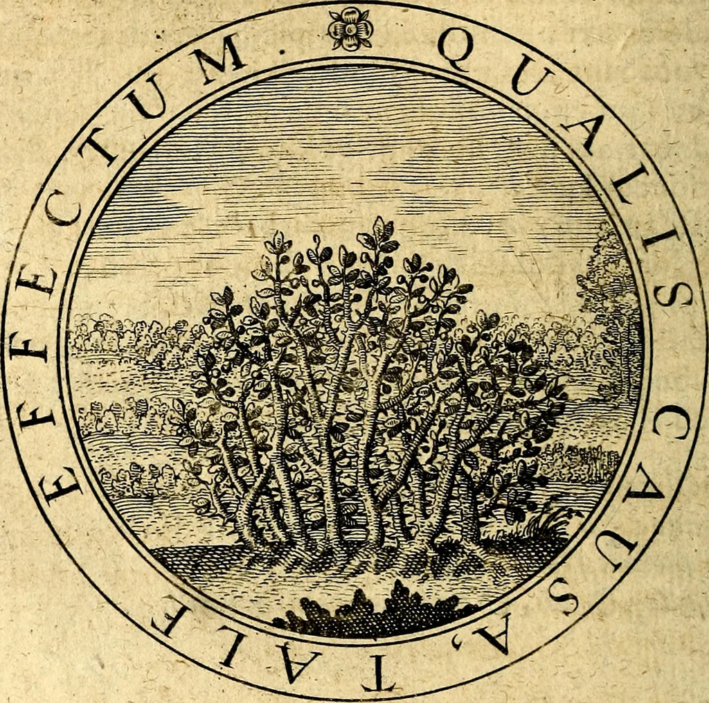 An illustration from Emblemata ethico politica. Ingenuâ at que eruditâ interpretatione nunc primùm illustrata, 1669, leaf 63