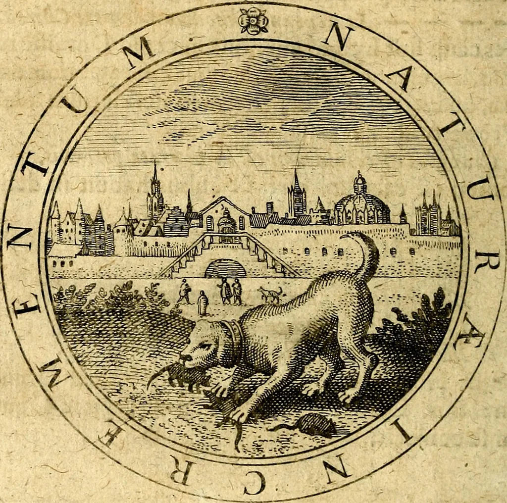An illustration from Emblemata ethico politica. Ingenuâ at que eruditâ interpretatione nunc primùm illustrata, 1669, leaf 77