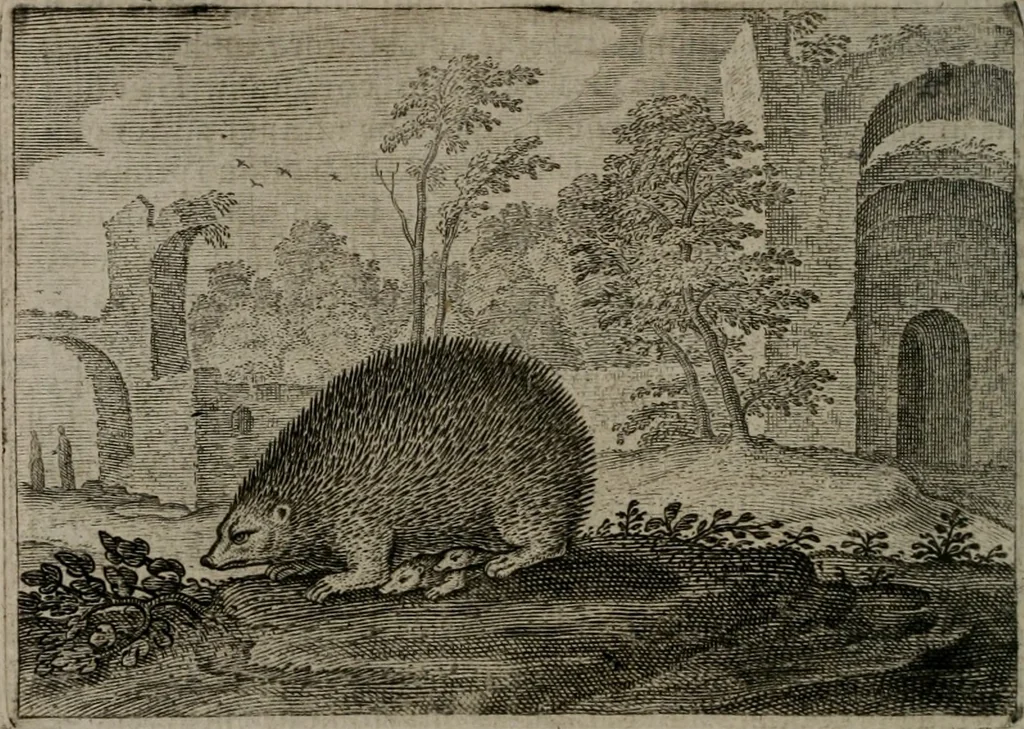 An illustration from Emblemata Florentii Schoonhovii I.C. Goudani : partim moralia partim etiam civilia : cum latiori eorundem ejusdem auctoris interpretatione : accedunt et alia quaedam poëmatia in alijs poematum suorum libris non contenta, 1648, leaf 101