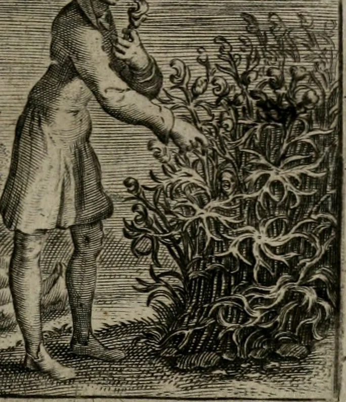 An illustration from Emblemata Florentii Schoonhovii I.C. Goudani : partim moralia partim etiam civilia : cum latiori eorundem ejusdem auctoris interpretatione : accedunt et alia quaedam poëmatia in alijs poematum suorum libris non contenta, 1648, leaf 130
