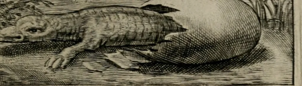 An illustration from Emblemata Florentii Schoonhovii I.C. Goudani : partim moralia partim etiam civilia : cum latiori eorundem ejusdem auctoris interpretatione : accedunt et alia quaedam poëmatia in alijs poematum suorum libris non contenta, 1648, leaf 152