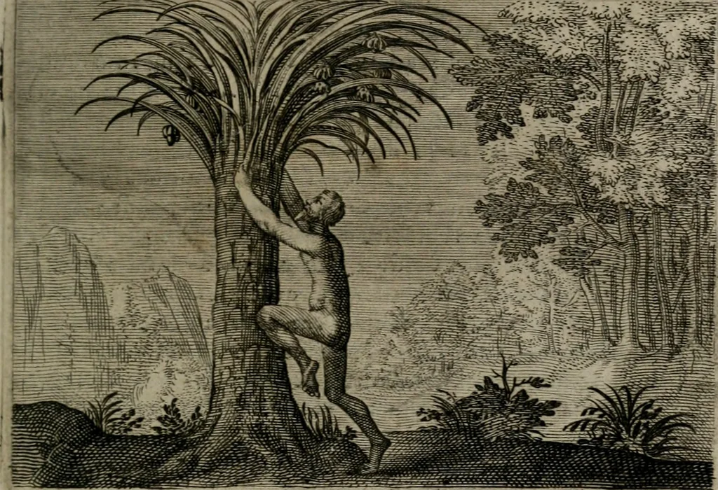 An illustration from Emblemata Florentii Schoonhovii I.C. Goudani : partim moralia partim etiam civilia : cum latiori eorundem ejusdem auctoris interpretatione : accedunt et alia quaedam poëmatia in alijs poematum suorum libris non contenta, 1648, leaf 234