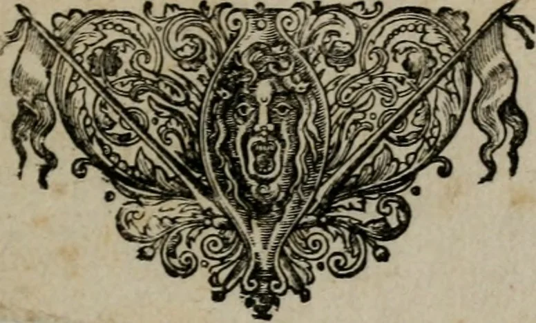 An illustration from Emblemata Florentii Schoonhovii I.C. Goudani : partim moralia partim etiam civilia : cum latiori eorundem ejusdem auctoris interpretatione : accedunt et alia quaedam poëmatia in alijs poematum suorum libris non contenta, 1648, leaf 250