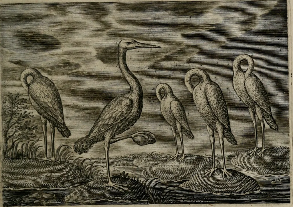 An illustration from Emblemata Florentii Schoonhovii I.C. Goudani : partim moralia partim etiam civilia : cum latiori eorundem ejusdem auctoris interpretatione : accedunt et alia quaedam poëmatia in alijs poematum suorum libris non contenta, 1648, leaf 82