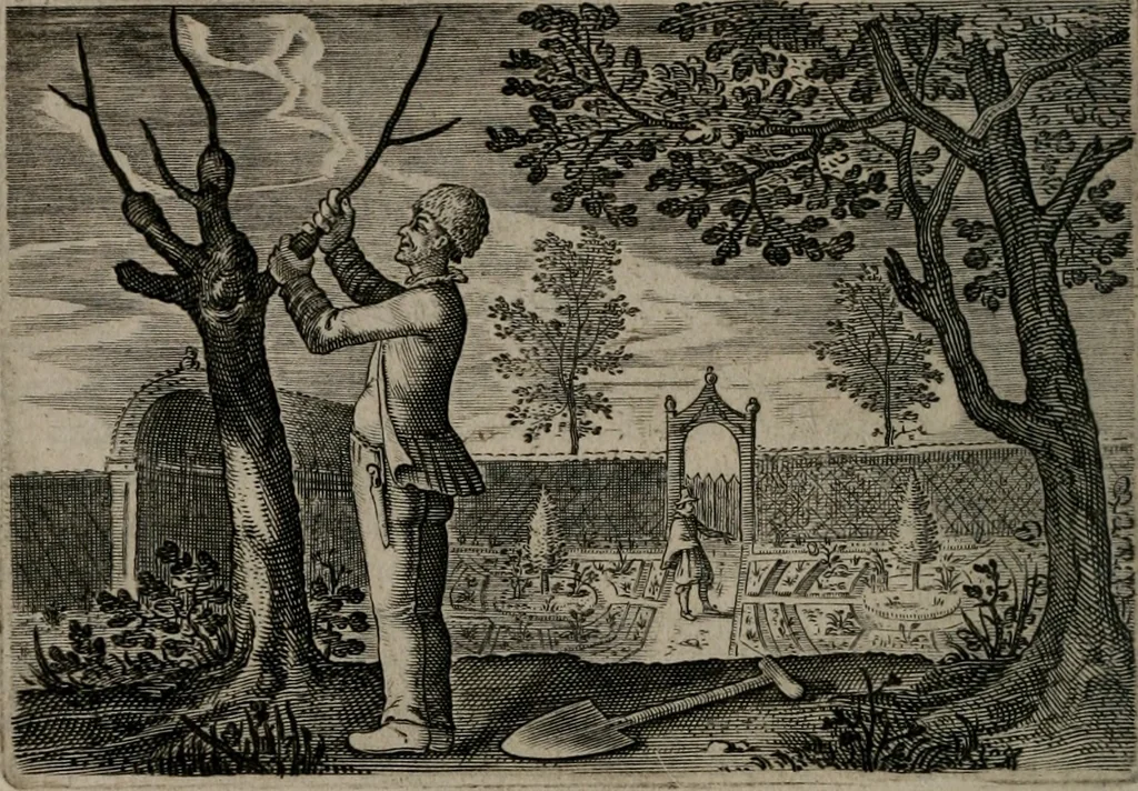 An illustration from Emblemata Florentii Schoonhovii I.C. Goudani : partim moralia partim etiam civilia : cum latiori eorundem ejusdem auctoris interpretatione : accedunt et alia quaedam poëmatia in alijs poematum suorum libris non contenta, 1648, leaf 89