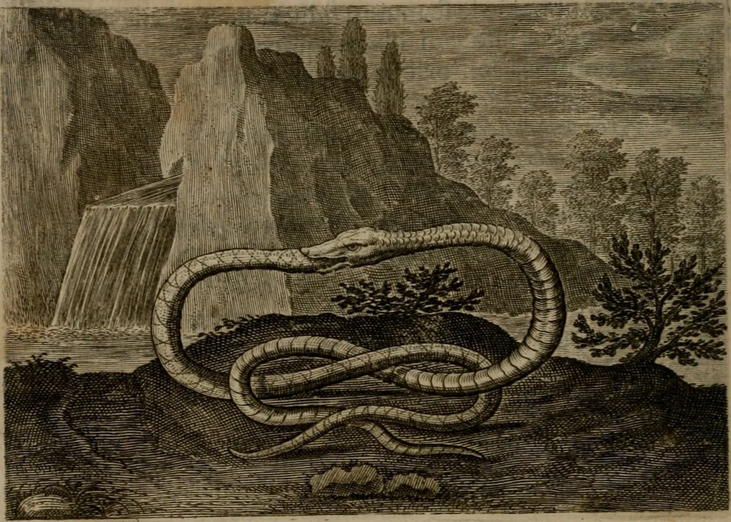 An illustration from Emblemata Florentii Schoonhovii I.C. Goudani, : partim moralia, partim etiam civilia. Cum latiori eorundem ejusdem auctoris interpretatione., 1618, leaf 155