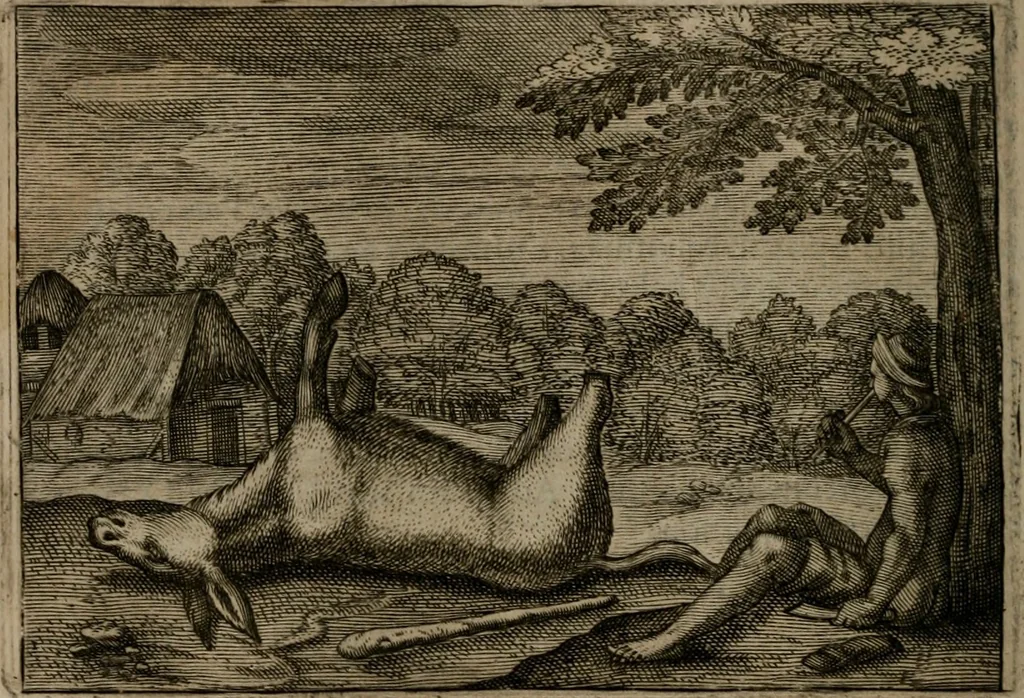 An illustration from Emblemata Florentii Schoonhovii I.C. Goudani, : partim moralia, partim etiam civilia. Cum latiori eorundem ejusdem auctoris interpretatione., 1618, leaf 207