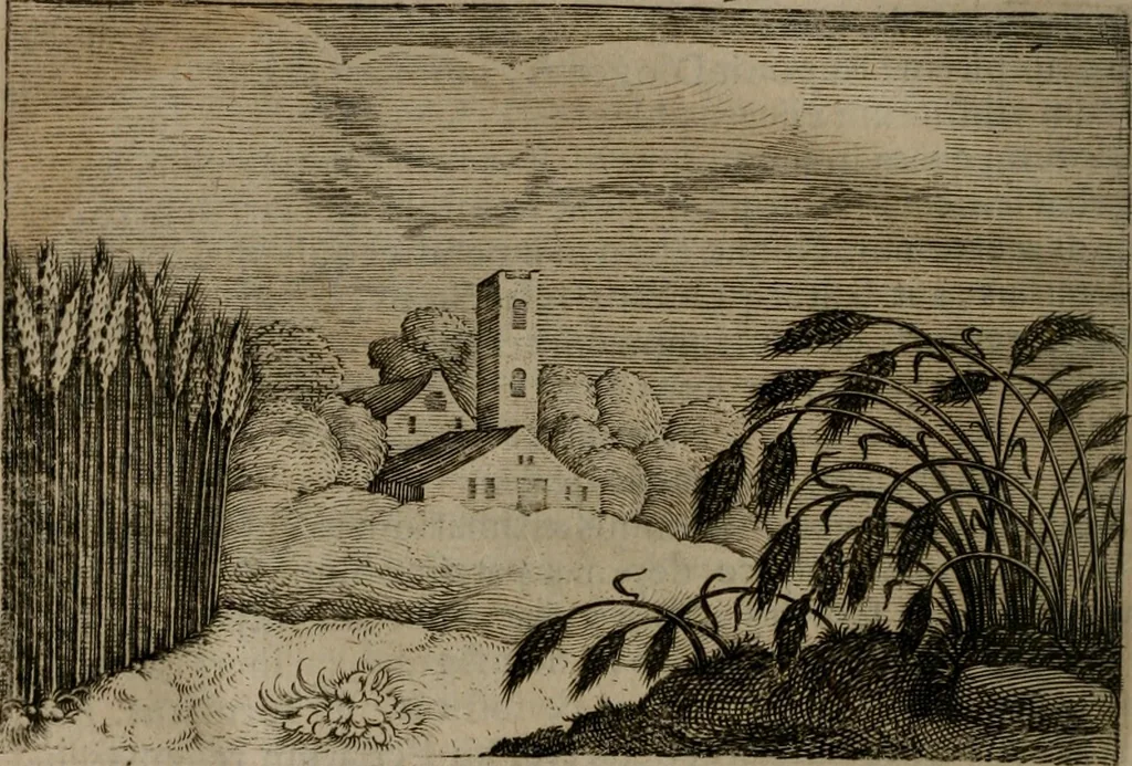 An illustration from Emblemata Florentii Schoonhovii I.C. Goudani, : partim moralia, partim etiam civilia. Cum latiori eorundem ejusdem auctoris interpretatione., 1618, leaf 229