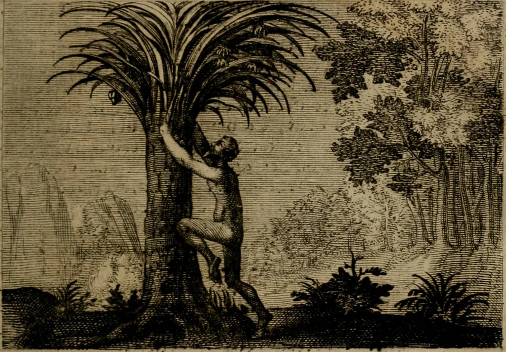An illustration from Emblemata Florentii Schoonhovii I.C. Goudani, : partim moralia, partim etiam civilia. Cum latiori eorundem ejusdem auctoris interpretatione., 1618, leaf 232