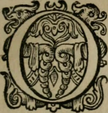 An illustration from Emblemata Florentii Schoonhovii I.C. Goudani, : partim moralia, partim etiam civilia. Cum latiori eorundem ejusdem auctoris interpretatione., 1618, leaf 238