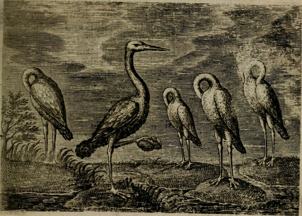 An illustration from Emblemata Florentii Schoonhovii I.C. Goudani, : partim moralia, partim etiam civilia. Cum latiori eorundem ejusdem auctoris interpretatione., 1618, leaf 80