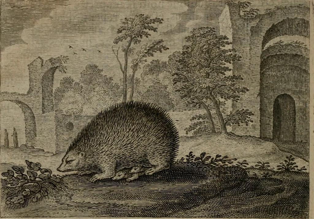 An illustration from Emblemata Florentii Schoonhovii I.C. Goudani, : partim moralia, partim etiam civilia. Cum latiori eorundem ejusdem auctoris interpretatione., 1618, leaf 99