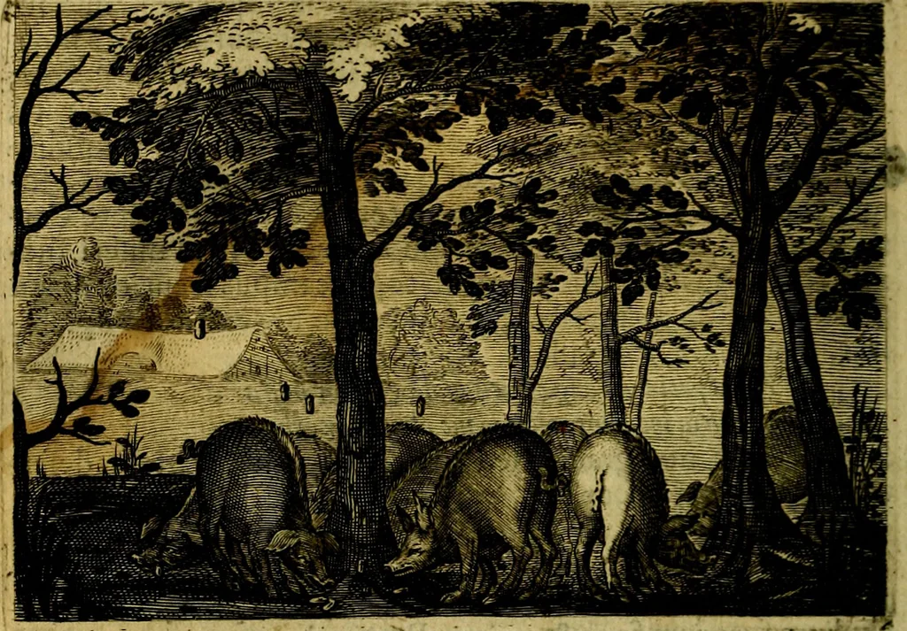 An illustration from Emblemata Florentii Schoonhovii, partim moralia, partim etiam civilia. Cum latiori eorundem ejusdem auctoris interpretatione. Accedunt et alia quædam poëmatia in alijs poëmatum suorum libris non contenta, 1618, leaf 211
