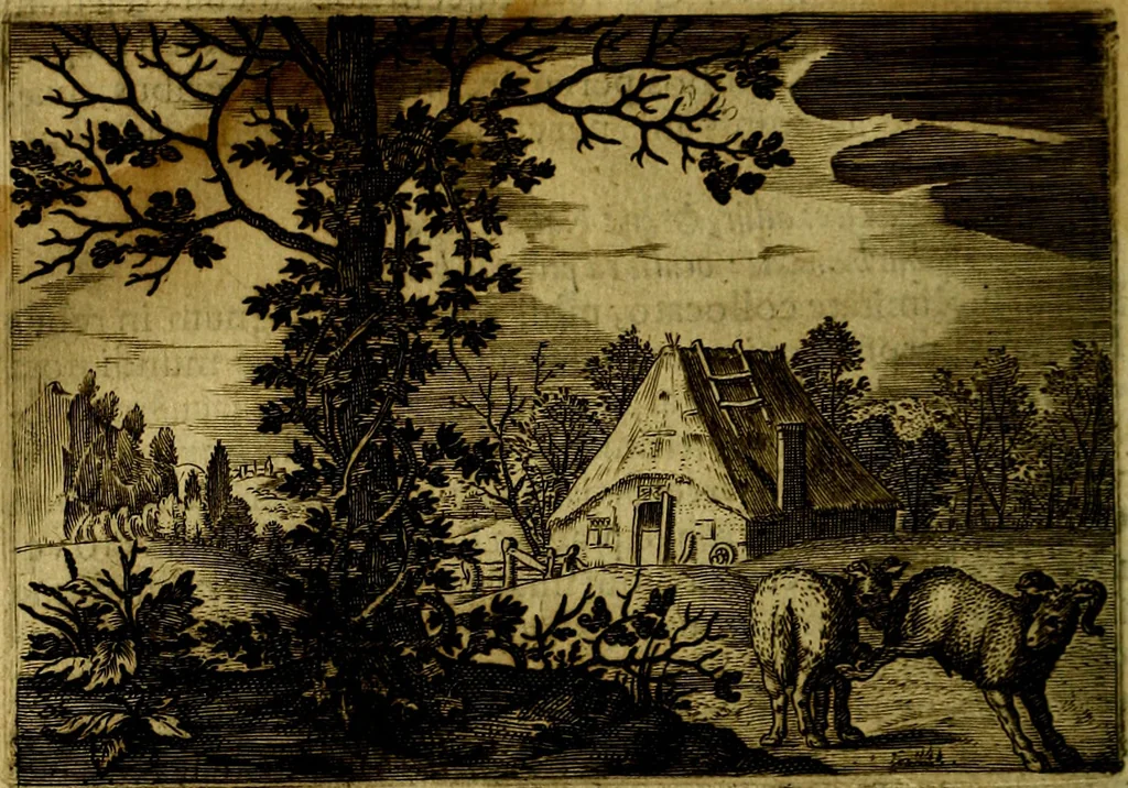 An illustration from Emblemata Florentii Schoonhovii, partim moralia, partim etiam civilia. Cum latiori eorundem ejusdem auctoris interpretatione. Accedunt et alia quædam poëmatia in alijs poëmatum suorum libris non contenta, 1618, leaf 49