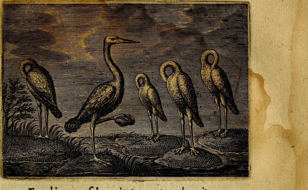 An illustration from Emblemata Florentii Schoonhovii, partim moralia, partim etiam civilia. Cum latiori eorundem ejusdem auctoris interpretatione. Accedunt et alia quædam poëmatia in alijs poëmatum suorum libris non contenta, 1618, leaf 72