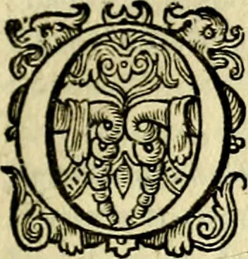 An illustration from Emblemata Florentii Schoonhovii, partim moralia, partim etiam civilia. Cum latiori eorundem ejusdem auctoris interpretatione. Accedunt et alia quædam poëmatia in alijs poëmatum suorum libris non contenta, 1618, leaf 240